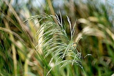 《Creepy Camping》登陆Steam 森林营地恐怖冒险