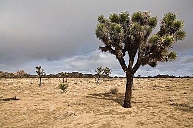 微软解释黑曜石《宣誓》跳票 并非因为担忧游戏质量